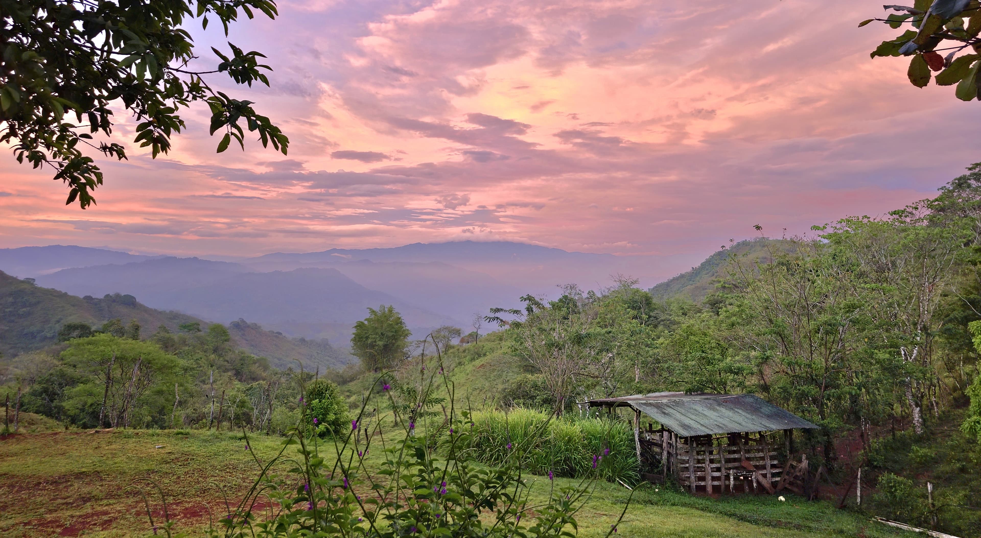 Coffee farm in the hills of Puriscal, Costa Rica