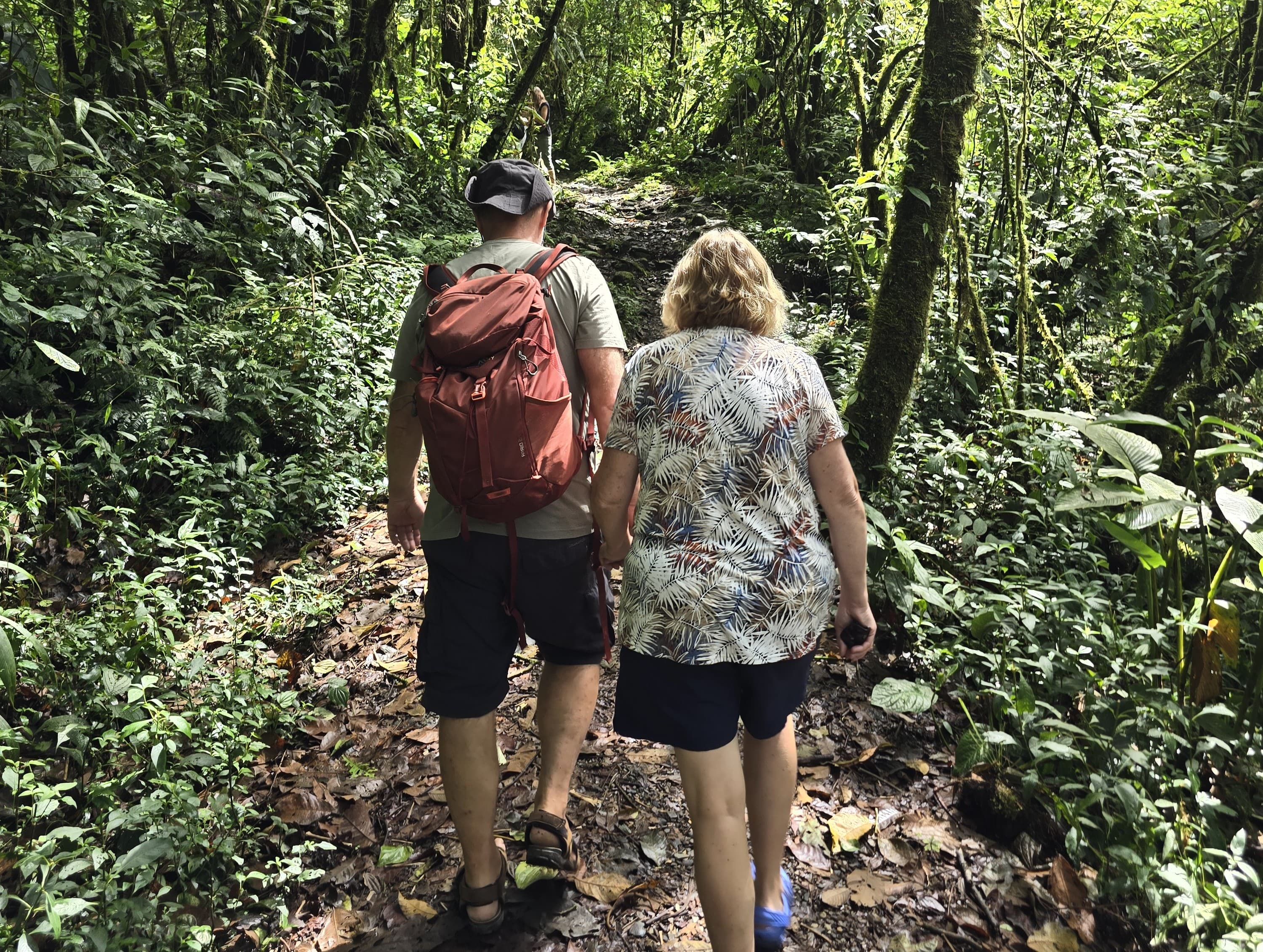 Hiking trail through Costa Rica cloud forest